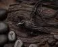 Preview: Raven from horn