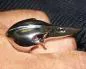 Preview: Large massive raven skull ring