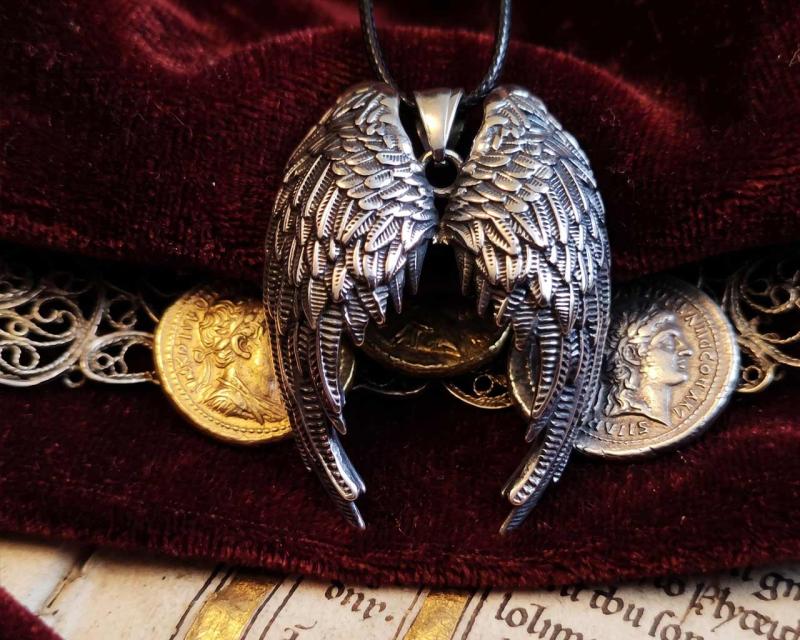 Wings of the Valkyrie
