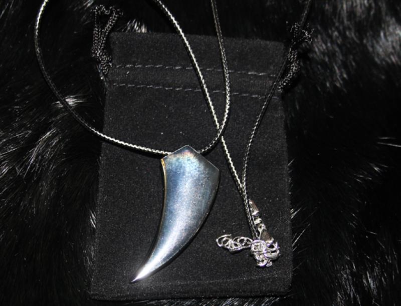 Wolfs tooth pendant made of stainless steel