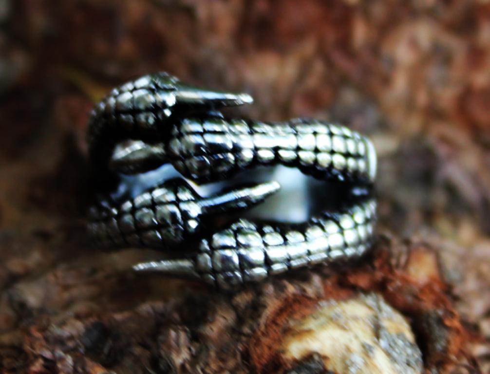 Ring Drachenklaue