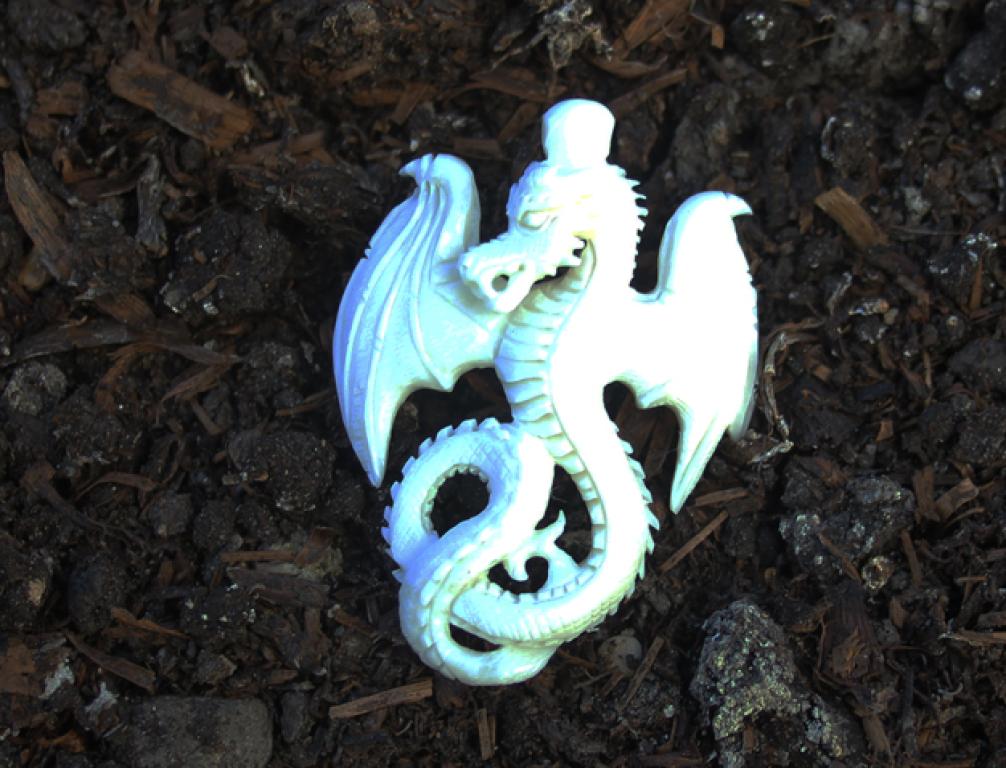 WYVEREX ~ Drache des Feuers