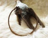 Herren Torques Drache