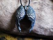 Wings of the Valkyrie