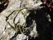 Großer Rabenschädel mit Aegishjalmur verziert